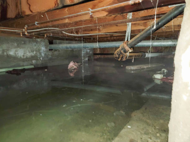 Best Sewage cleanup and water damage restoration  in Clinton, MO