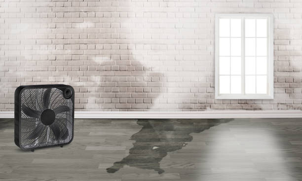 Best 24-hour water damage restoration  in Clinton, MO