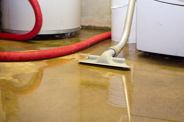 Reliable Clinton, MO Water damage restoration Solutions