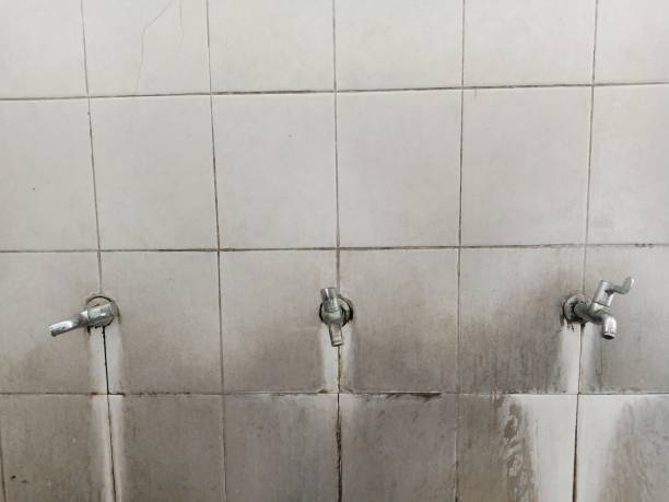 Best Water damage restoration insurance claims  in Clinton, MO