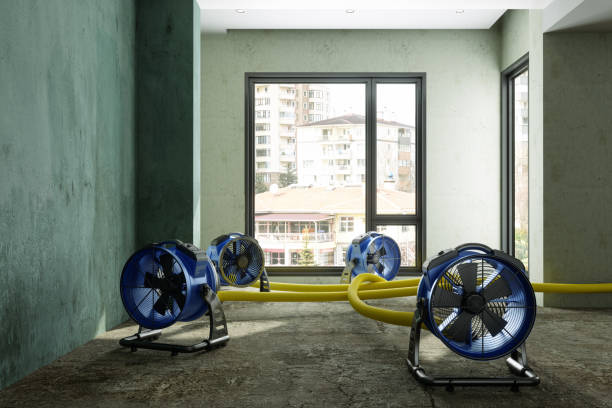 Best Flood restoration services  in Clinton, MO