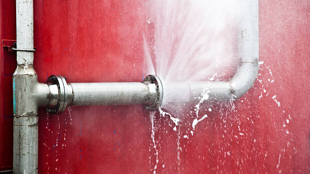 Best Professional water damage repair  in Clinton, MO