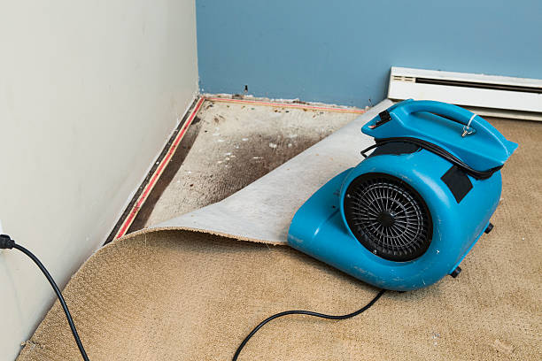 Best Residential water damage restoration  in Clinton, MO
